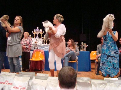 20121021_200 (Expo)